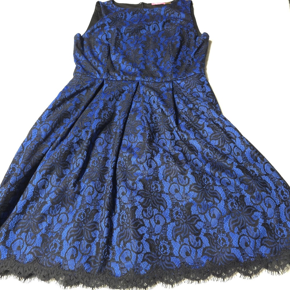Isaac Mizrahi NY Lace Dress Sz 16 Blue Black Floral A Line Pleated Lined Flare